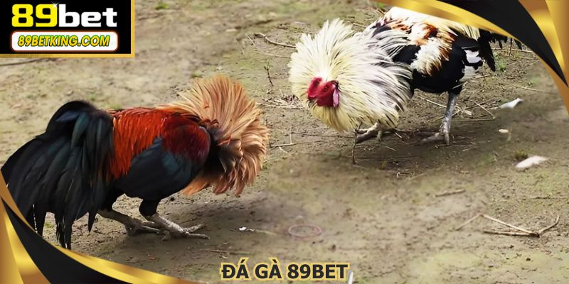 Đá Gà 89BET